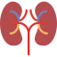 Kidney ícone 64x64