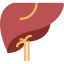 Liver іконка 64x64