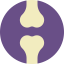 Бедренная кость иконка 64x64