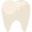 Premolar アイコン 64x64
