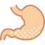 Stomach іконка 64x64