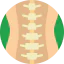 Spinal column ícone 64x64