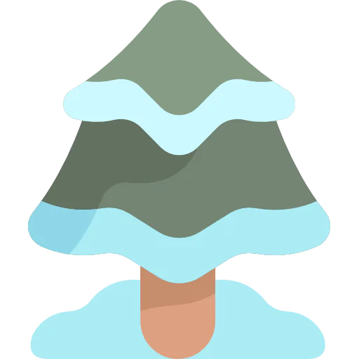 Pine tree icon