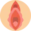 Vagina 상 64x64