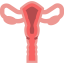 Uterus 상 64x64
