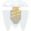 Premolar 상 64x64