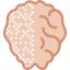 Brain 상 64x64