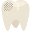 Molar icon 64x64