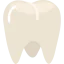 Molar icon 64x64