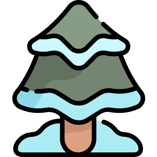 Pine tree icon