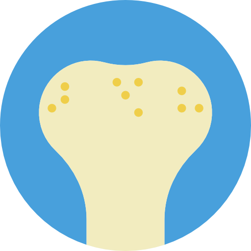 Bone icon