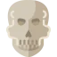 Skull 상 64x64