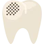 Premolar 상 64x64