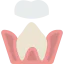 Molar Symbol 64x64