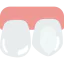 Teeth 상 64x64