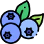 Blueberries ícono 64x64