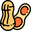 Peanut ícono 64x64