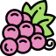 Grapes ícono 64x64