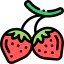 Strawberry ícono 64x64