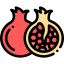 Pomegranate ícono 64x64