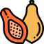 Papaya ícono 64x64