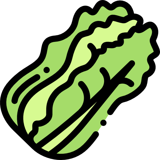 Cabbage biểu tượng