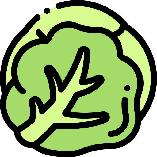 Cabbage icon