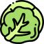 Cabbage icon 64x64