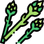 Asparagus ícono 64x64
