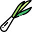 Spring onion ícono 64x64
