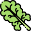 Lettuce ícono 64x64