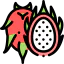 Pitaya ícono 64x64