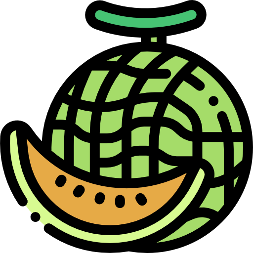Melon icon