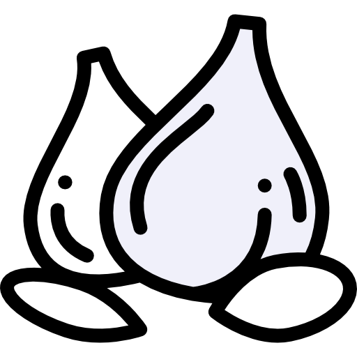 Garlic 图标
