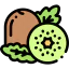 Kiwi ícono 64x64