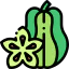 Carambola ícono 64x64