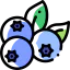 Blueberries icône 64x64