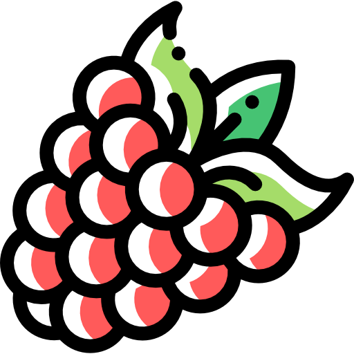 Raspberry ícono