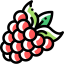 Raspberry ícono 64x64