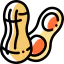 Peanut icône 64x64
