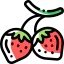 Strawberry icône 64x64