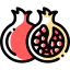 Pomegranate icône 64x64