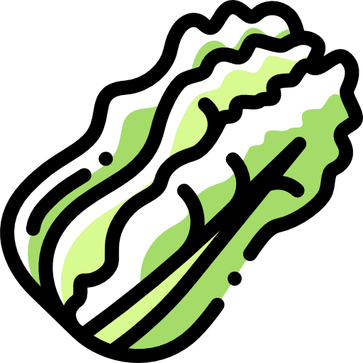 Cabbage 상