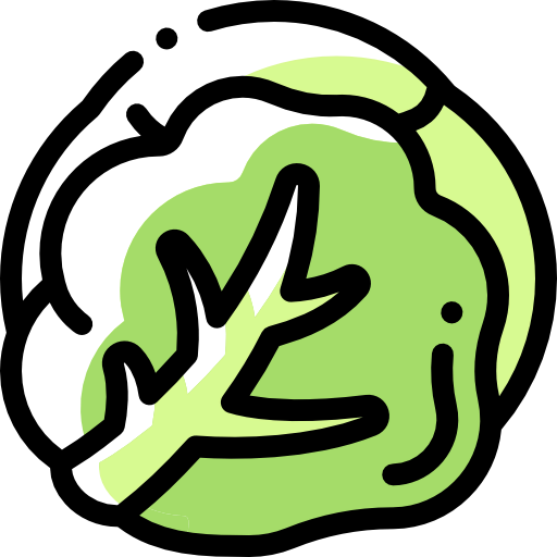 Cabbage icon