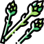 Asparagus icône 64x64