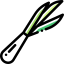 Spring onion icône 64x64