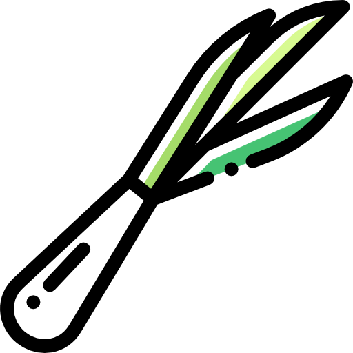 Spring onion icon