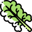 Lettuce icône 64x64
