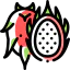 Pitaya icône 64x64
