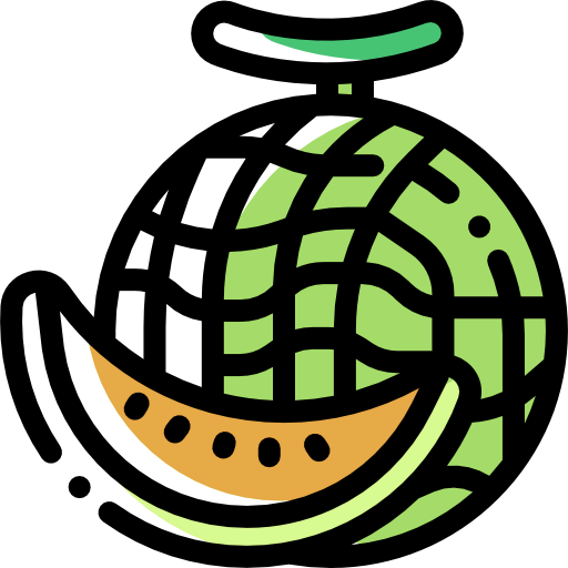 Melon icon
